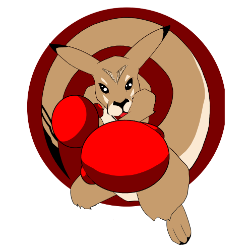 Kangaroo Punch Studios